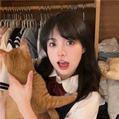 双人军团